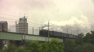 雨の日の快速SL C61復活号(2011年6月18日:渋川～敷島)