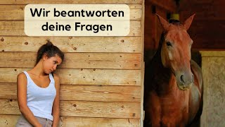 Wir beantworten eure Fragen: Pferde motivieren, traumatisierte Pferde, Pferde, die sich losreißen …