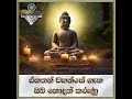 රහතන් වහන්සේ පිළිබද ඔබ නොදත් කරුණු...most ven. mankadawala sudassana thero