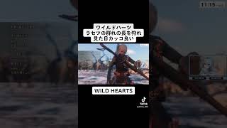 【ワイルドハーツ】ラセツの群れの長を狩れ。ラセツの見た目カッコ良いよね。【WILD HEARTS】