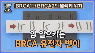 암 예방을 위해 유방 절제? 암 일으키는 BRCA 유전자 변이란? MBN 220911 방송