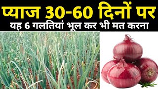 Pyaj ki kheti | Onion farming advance agriculture | प्याज की खेती | pyaj ki kheti Kaise Kare, Onion