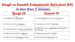 Differences between rough and smooth endoplasmic reticulum | Rough ER vs Smooth ER|