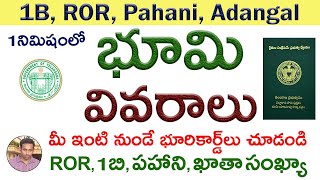 1B ROR Pahani Adangal View Download Online | Maa Bhoomi Telangana Land Records #RaviTv