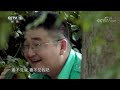 正大综艺·动物来啦 大天鹅用脖子“比心”是在干啥呢？ cctv