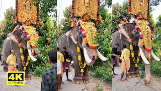 എടാ കൊതിയാ ❤🤩 | വൈലാശ്ശേരി അർജുനൻ | Vailassery Arjunan