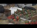 Workers at Crown Candy in St. Louis preparing for Valentine's Day