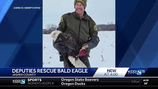 Jasper County Sheriff's deputies rescue injured bald eagle