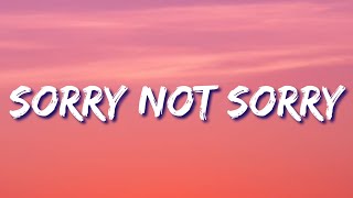 Demi Lovato – Sorry Not Sorry (Lyrics) 🎵