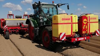 Fendt 716 vario i sadzarka GRIMME GL 430 Raitech