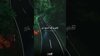 #liyrics #video #toonmusic19                             ❤️සීත රටේ තනි මලට ලොබින්...❤️