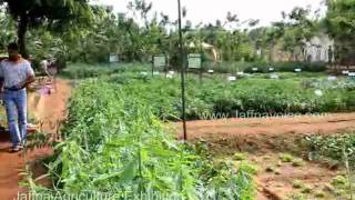 Jaffna Agriculture exhibition 2011  Part -1