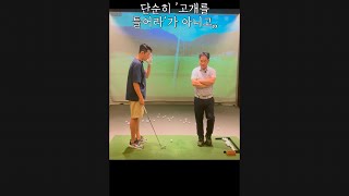 사람마다 다른 스윙이 필요 #860-6  #골프레슨 #골프연습 #골프