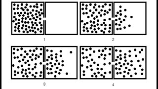 Particle Diffusion from a box using monte carlo simulation : Theory, Code, Gnuplot Visualization.