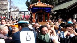 Kanamara Matsuri (かなまら祭り, \