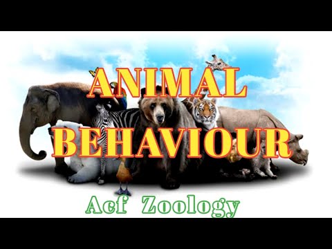 Instinctive behavior Animal behavior Bsc zoology UPSC ZOOLOGY Rpsc Zoology msc zoology