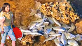 [ENG SUB] Xiao Zhang rushed to the sea  and a large nest of small bream ran aground! There are a lo