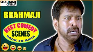 Brahmaji Best Comedy Scenes Back To Back || Latest Telugu Comedy Scenes || Shalimarcinema