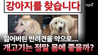 잃어버린 강아지로 건강원에서 약을... 개고기는 정말 몸에 좋을까? (메디컬푸드연구소 이경실 소장)