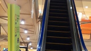 escalator ダイエー海老名店　エスカレーター