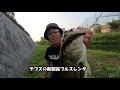 【岡山・倉敷川】バス釣りヒットシーン有‼deps ブルスレンダーを使ってみた個人的なインプレ