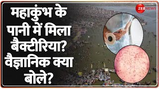 Deshhit: महाकुंभ के पानी में बैक्टीरिया? वैज्ञानिक क्या बोले? | Mahakumbh 2025 | Bacteria in Water