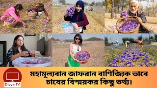 ১ কেজি জাফরানের দাম ৪ থেকে ৫ লাখ টাকা যে কারণে? Saffron Cultivation | Divya Tv |