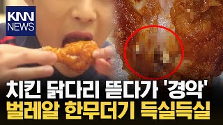 치킨 닭다리 뜯었다가 '경악'... \