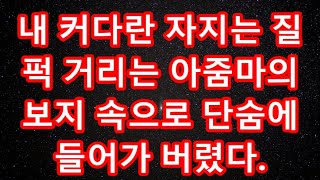 실화사연- 청담동 예비 시댁에 인사를 갔더니 '고아라고? 근데 의사를 넘봐?' 하며 시모가 막말을 하는데../ 라디오사연/ 썰사연/사이다사연/감동사연