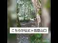 【甲斐駒ヶ岳、仙丈ヶ岳】伊那bt→高遠駅→仙流荘→北沢峠バス乗り継ぎって、バス無いじゃん