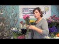 march 2012 wholesale flower product showcase