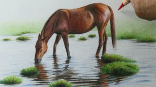 Como desenhar um Cavalo bebendo água