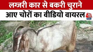 Viral Video: Amethi में बकरी चुराने लग्जरी कार से आए चोरों का वीडियो हुआ वायरल, देखें वीडियो | News