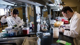 Why work for the Biodesign Institute at ASU?