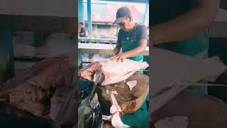 Skill gak kaleng-kaleng cara memotong tuna besar #fishing #tunafishcutting #fyp #shorts