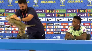 CRAZY moment a CAT interrupts Vinicius Jr's press conference! Press officer YEETS it!