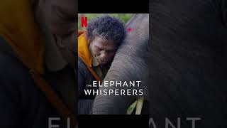 the elephant whisperer in telugu #movie #documentary #oscar #elephantwhisperers #review #telugu