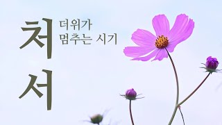 더위가 멈추는 시기 | 처서