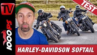 Harley Softail über Schweizer Pässe geprügelt - Test von Fat Bob 114,  FXDR 114, Street Bob