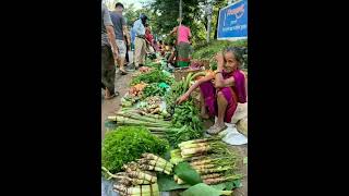 দর্শক বৃদ্ধা মহিলা টি লতা পাতা শাখ সবজি বিক্রি করছে