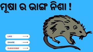 ମୂଷା ର ଭାଙ୍ଗ ନିଶା !Musa ra bhanga Nisa || Odia Comedy Video|| #shantiraaj