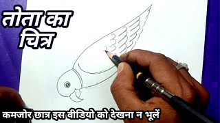 तोता का चित्र बनाना सीखें । Parrot drawing | very easy |