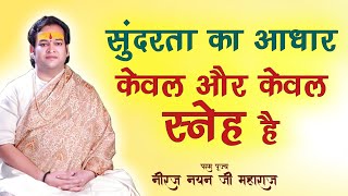 सुंदरता का आधार केवल और केवल स्नेह है @NayanDhara1 #neerajnayanmaharaj #shortvideos #bhagwatkatha