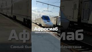 Афросиаб — самый быстрый поезд в Узбекистане #uzbekistan #travel #train