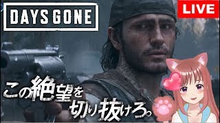 🎀【 デイズゴーン】ゾンビ大量はめめめ(*´∇｀*)💖 Part13［女性実況］ 生放送  【Days Gone】