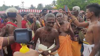 நல்லூர் கந்தசாமி கோயில் தேர் திருவிழாவில் பக்திப்பரவசம் 2022