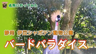 #114 名所に行ってみた「伊豆シャボテン動物公園」 バードパラダイス / Bird Paradise at Izu Shaboten Zoo