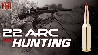 22 ARC: Hunting