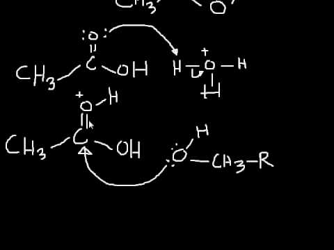 How do you make an ester from alcohol?