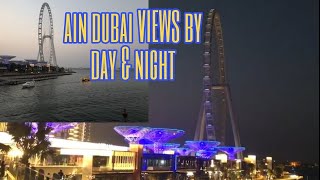 AIN DUBAI 🎡| DUBAI EYE📸 | DUBAI BLUE WATER ISLAND🗻| THE LARGEST FERRIES WHEEL IN THE WORLD